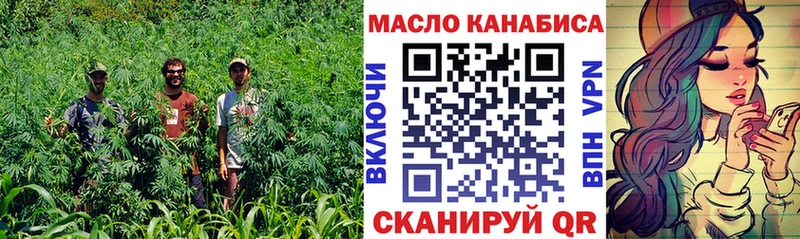 Купить Кандалакша ТГК концентрат