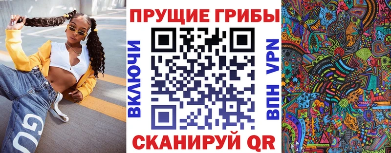 Псилоцибиновые грибы Psilocybe  Купить закладки  Кандалакша 