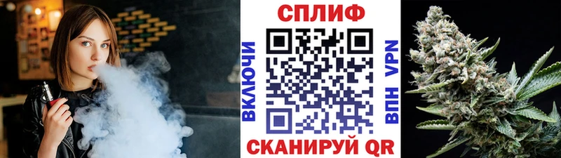 Бошки Шишки MAZAR Кандалакша